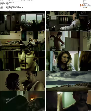 Three Monkeys 2008 BluRay 1080p DDP 5.1 x264-hallowed