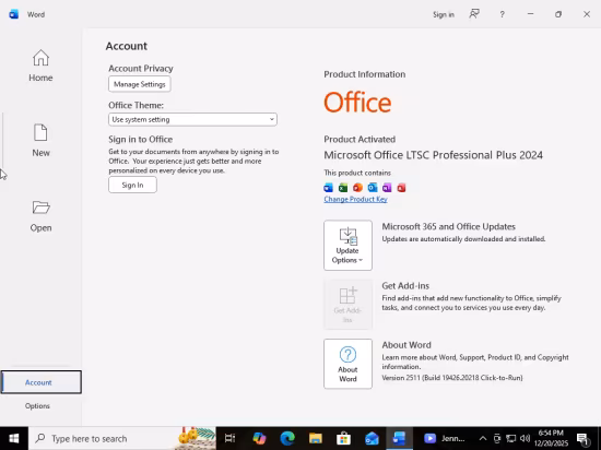 Windows 10 Pro 22H2 build 19045.6691 With Office 2024 Pro Plus Multilingual Preactivated November 2025