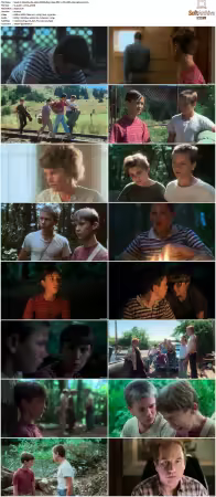 Stand by Me 1986 UHD BluRay 2160p DDP 7.1 DV HDR x265-hallowed