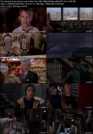 Home Alone 2 Lost In New York 1992 1080p BluRay x265-ZiTO
