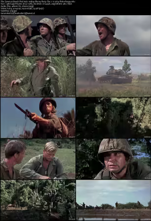 Beach Red 1967 1080p Bluray Rerip Flac 2.0 x264-RetroPeeps