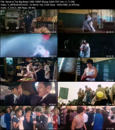 The Big Brawl 1980 1080P Bluray X264-TNT