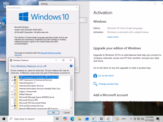 Windows 10 22H2 build 19045.6691 AIO 16in1 Preactivated December 2025