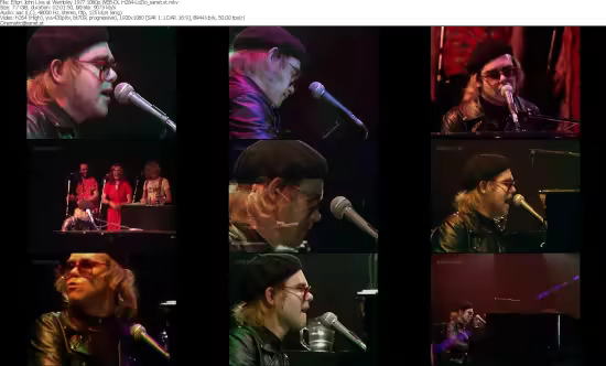 Elton John Live at Wembley 1977 1080p WEB-DL H264-LoZio