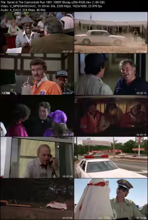 The Cannonball Run 1981 1080P Bluray x264-RGB