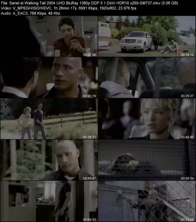 Walking Tall 2004 UHD BluRay 1080p DDP 5.1 DoVi HDR10 x265-SM737
