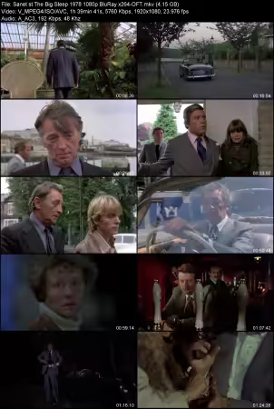 The Big Sleep 1978 1080p BluRay x264-OFT