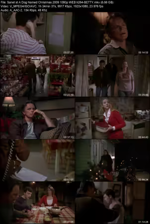 A Dog Named Christmas 2009 1080p WEB h264-BETTY