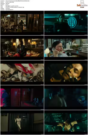 Catwoman 2004 1080p BDRip DTS H264-PoPCoRn