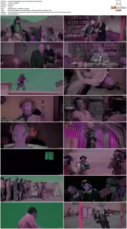 Blazing Saddles 1974 DV 2160p WEB H265-JAVLAR