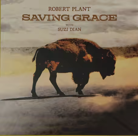 Robert Plant - Saving Grace (2025) (Vinyl Hi-Res)