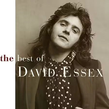 David Essex - Best Of David Essex (1996)[FLAC]