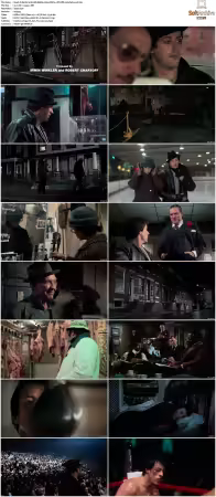 Rocky 1976 UHD BluRay 2160p DDP 5.1 DV HDR x265-hallowed