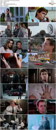 Dead Heat 1988 DV 2160p UHD BluRay x265-SURCODE