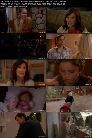 A Golden Christmas 2009 1080p BluRay x265-ZiTO