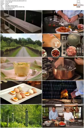 Martha Cooks S01 1080p WEB h264-BETTY