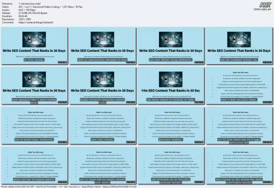Content Authority SEO 2026: Rank Faster Without Backlinks
