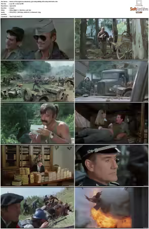 The Inglorious Bastards 1978 1080p BDRip DTS H264-PoPCoRn