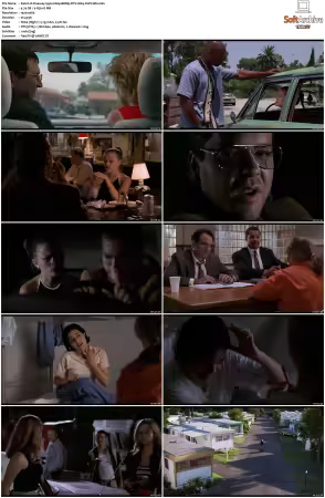 Freeway 1996 1080p BDRip DTS H264-PoPCoRn