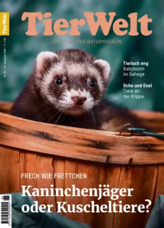 TierWelt - Nr.26, 2025