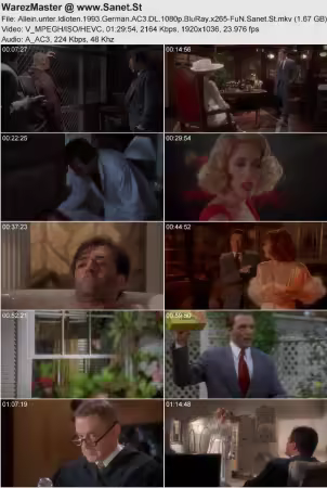 Allein unter Idioten 1993 German AC3 DL 1080p BluRay x265-FuN