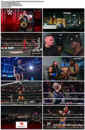 WWE RAW 2025 12 29 NF DEF 1080p WEB h265-HEEL