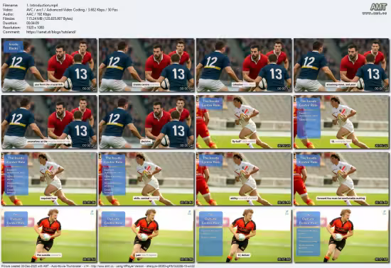Functional Roles in Rugby Union: The Inside Backs