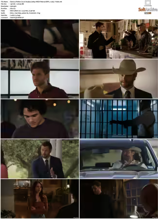 Walker 2021 S03 1080p AMZN Webrip DDP5.1 x265-Vialle