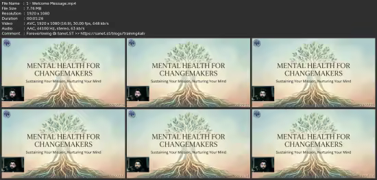 Mental Health For Changemakers A Certification In Resilience