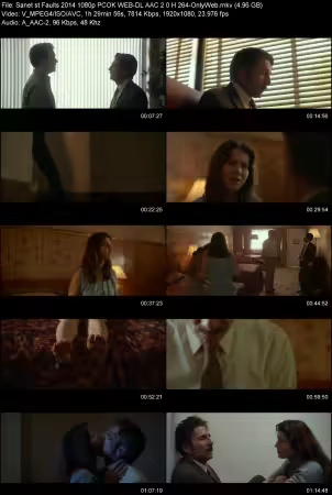 Faults 2014 1080p PCOK WEB-DL AAC 2.0 H264-OnlyWeb