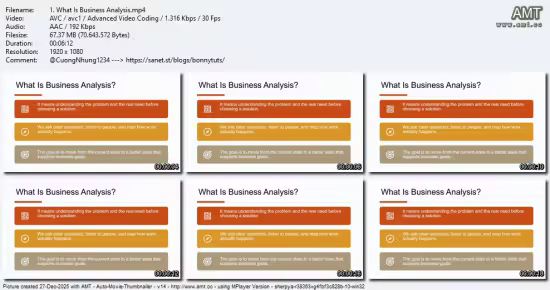 PMI-PBA Business Analysis: From Fundamentals to Requirements