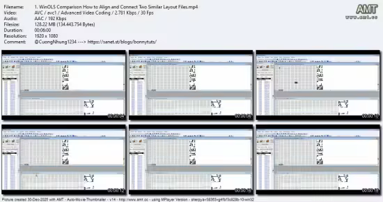 Professional WinOLS Comparison and OLS to BIN Workflow