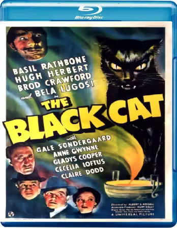 The Black Cat 1941 1080p BluRay x264-OFT