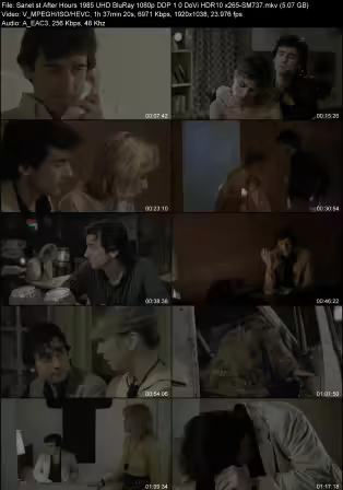 After Hours 1985 UHD BluRay 1080p DDP 1.0 DoVi HDR10 x265-SM737