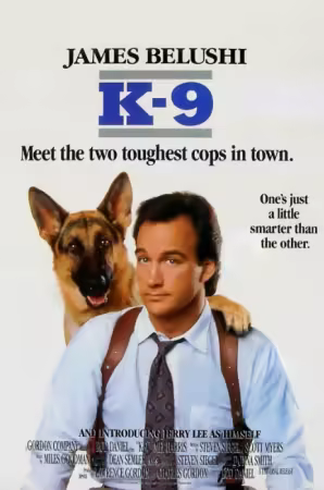Mein Partner mit der kalten Schnauze 1989 German AC3 DL 1080p BluRay x265-FuN