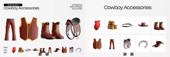 EE - Cowboy Accessories 3D Icon Set A3X846C