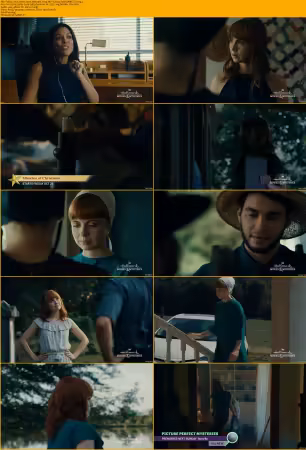 Hallmark 2020 Movie Collection Mixed 720p x264-Solar