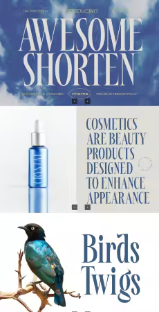 EE - Awesome Shorten - Tall Serif Display 7JLM8YU