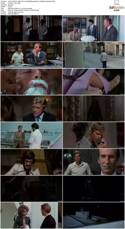 The Cat o Nine Tails 1971 UHD BluRay 2160p AAC 1.0 DV HDR x265-hallowed