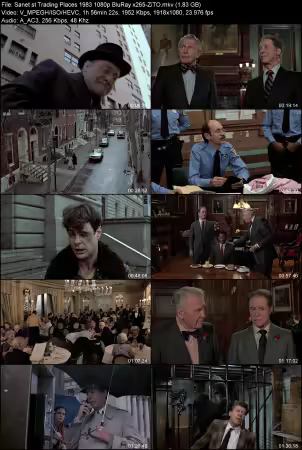 Trading Places 1983 1080p BluRay x265-ZiTO
