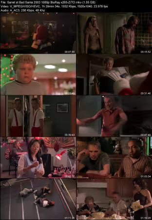 Bad Santa 2003 1080p BluRay x265-ZiTO