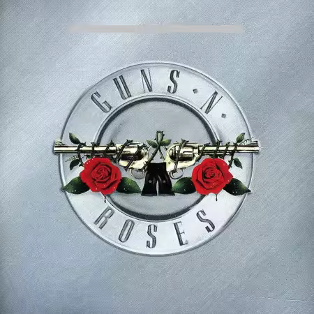 Guns N' Roses - The Vinyl Collection[Vinyl,12xLP,3x7''] (1987-2020) Hi-Res