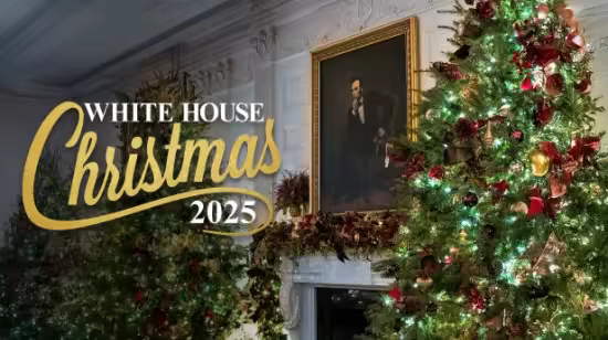 White House Christmas 2025 1080p WEB h264-FREQUENCY