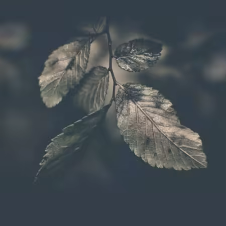 bvdub - Farewell (2025)