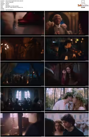 Mozart Mozart S01 GERMAN 720p WEB x264-TMSF