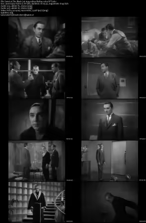 The Black Cat 1934 1080p BluRay x264-OFT