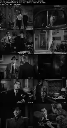 The Big Sleep 1946 1080P Bluray X264-TNT