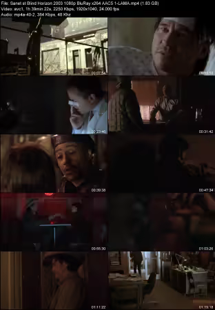 Blind Horizon 2003 1080p BluRay x264 AAC 5.1-LAMA