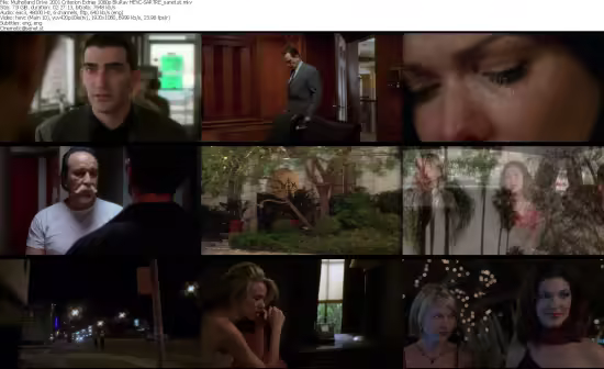 Mulholland Drive 2001 Criterion Extras 1080p BluRay HEVC-SARTRE