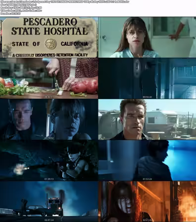 Terminator 2 Judgment Day 1991 EXTENDED REMASTERED 1080p BluRay HEVC x265 5.1 ReBONE